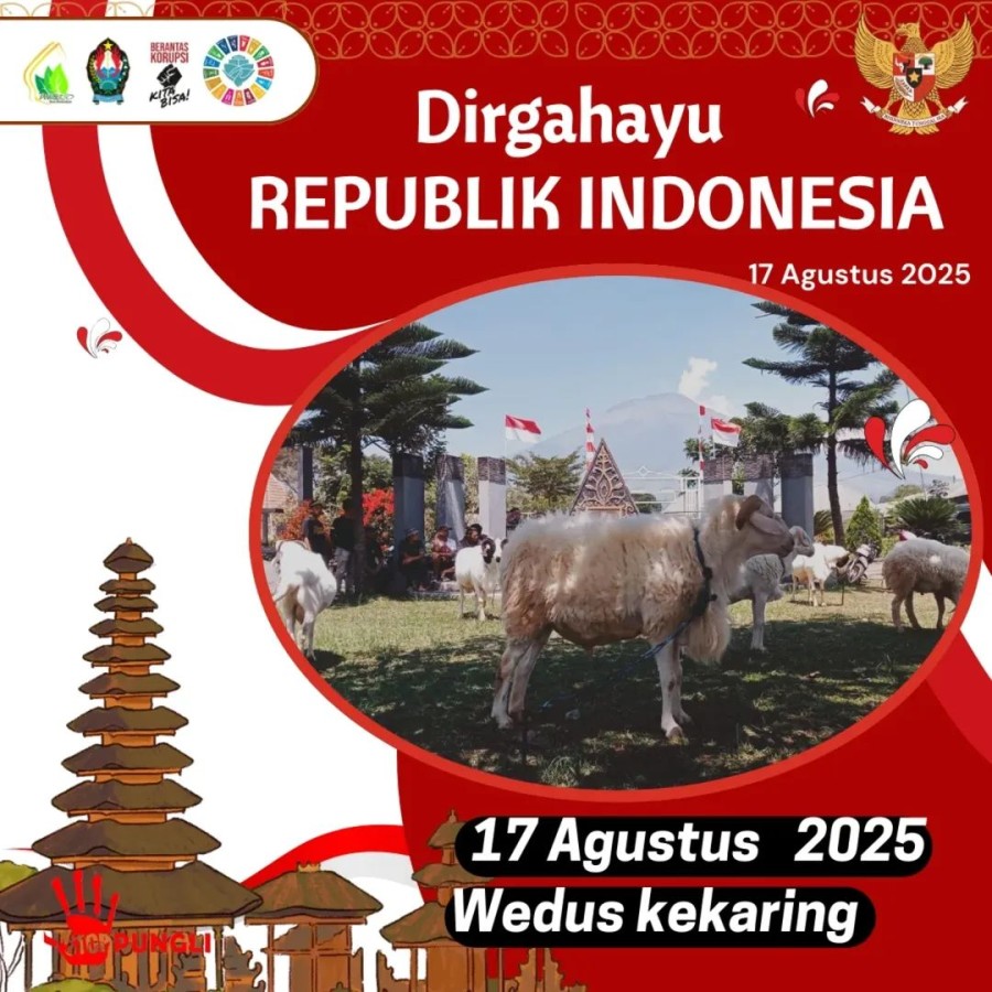 Berita